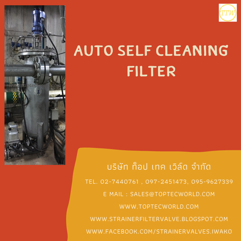 auto self cleaning