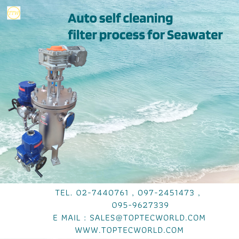 auto self cleaning filter process for seawater